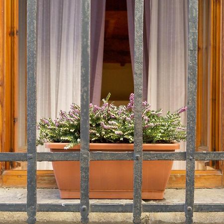 San Frediano District - Apartment Firenze Bagian luar foto