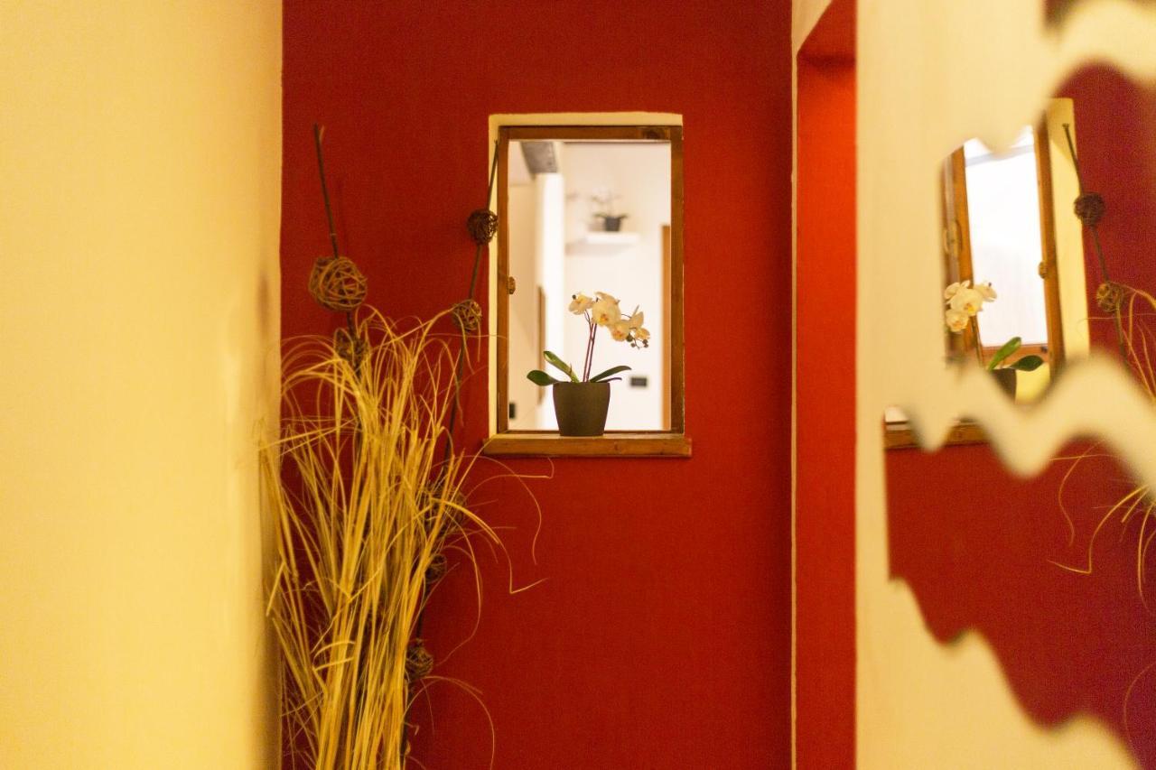 San Frediano District - Apartment Firenze Bagian luar foto